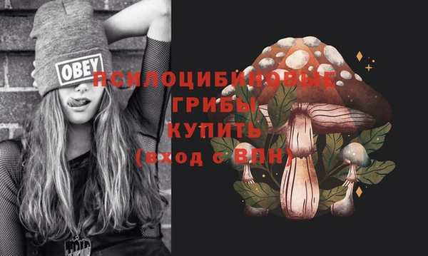 спиды Алзамай